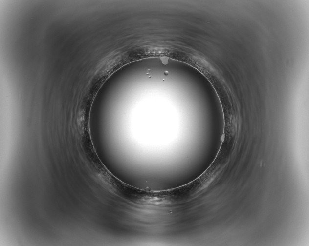 X0000085730557200703161008