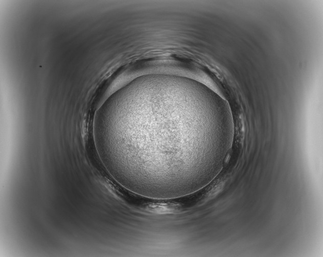 X0000085730558200703161008