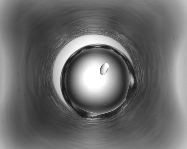 X0000085730560200703161008