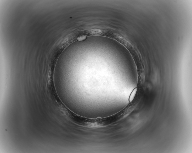 X0000085730561200703161008