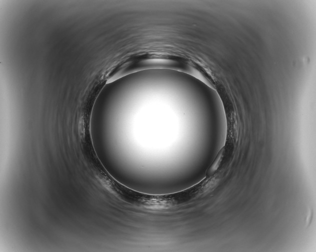 X0000085730562200703161008