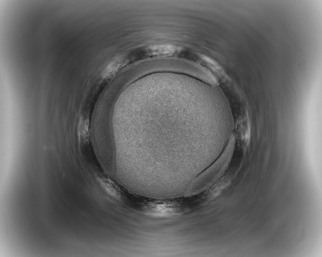 X0000085730564200703161008