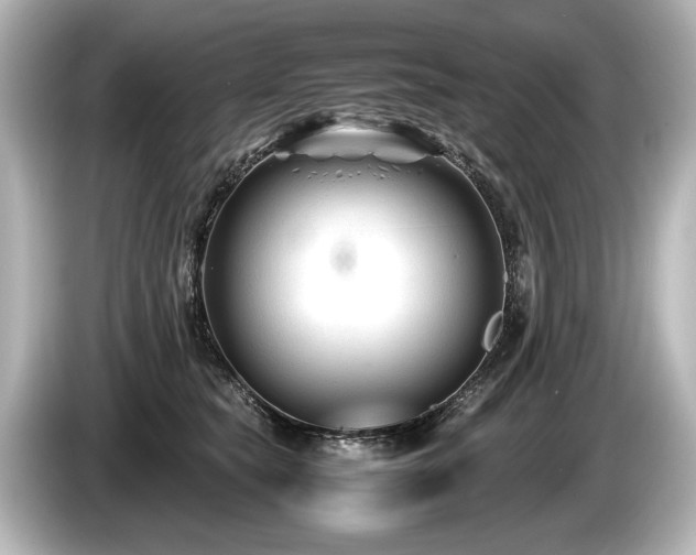 X0000085730565200703161008