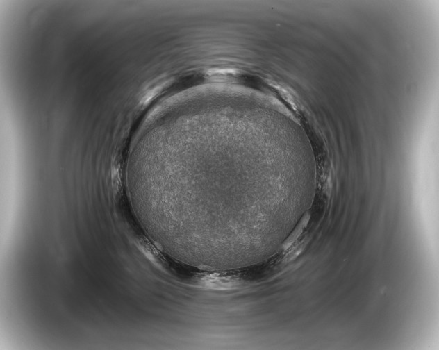 X0000085730568200703161008