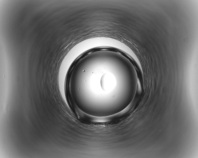 X0000085730572200703161008