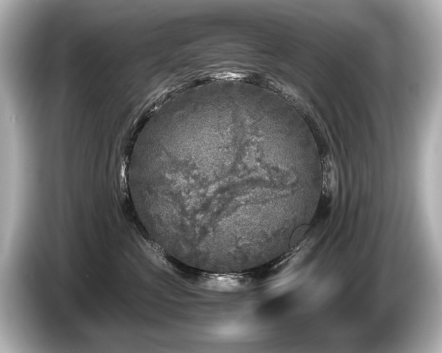 X0000085730573200703161008