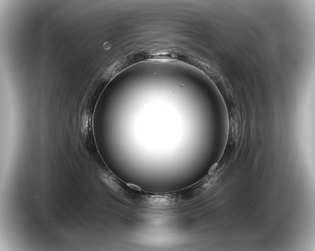 X0000085730574200703161008