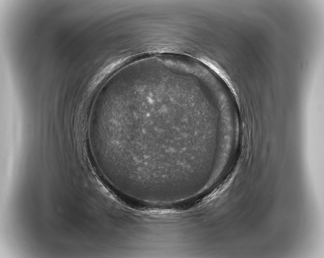 X0000085730577200703161008