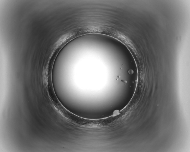 X0000085730578200703161008