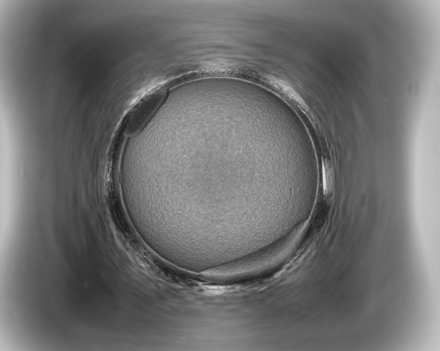 X0000085730579200703161008