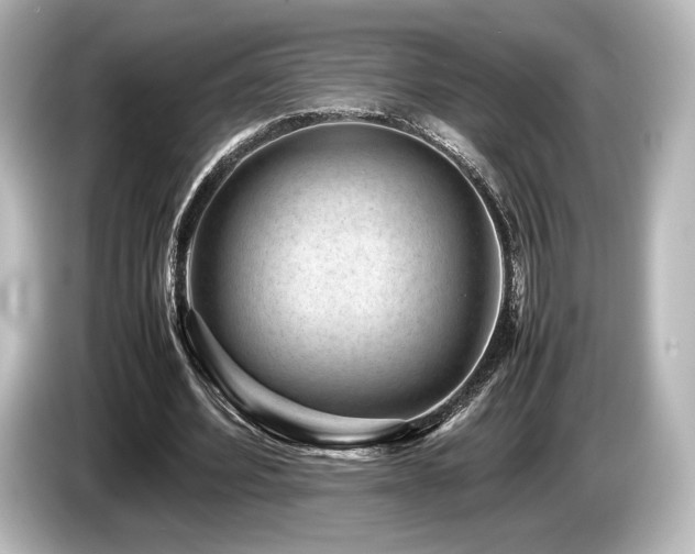 X0000085730580200703161008