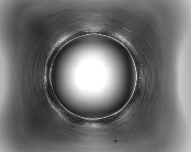 X0000085730582200703161008