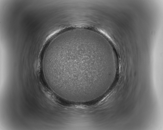 X0000085730583200703161007