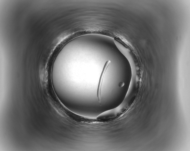 X0000085730584200703161007