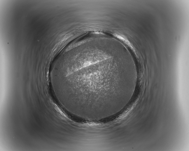 X0000085730585200703161007