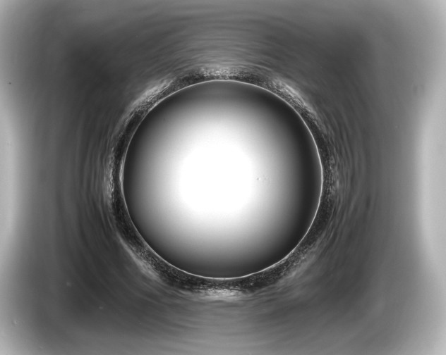 X0000085730586200703161007