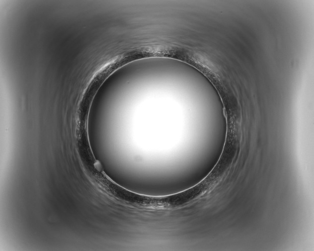 X0000085730587200703161007