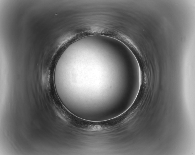 X0000085730588200703161007