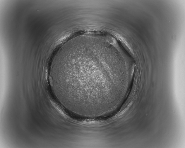 X0000085730589200703161007