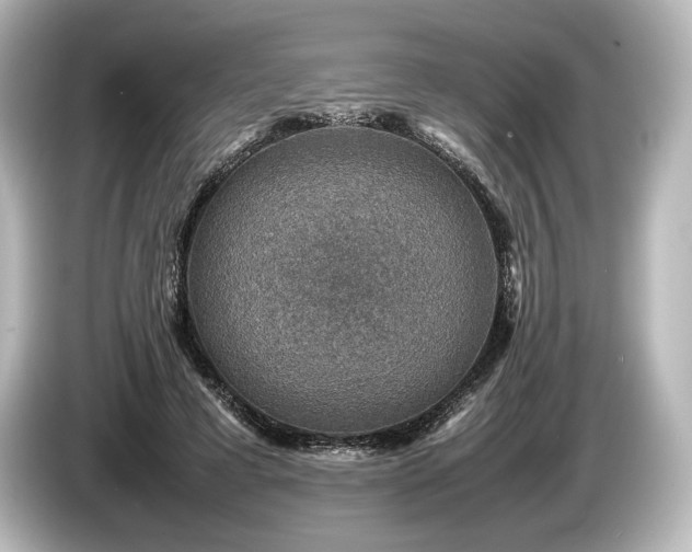 X0000085730593200703161007