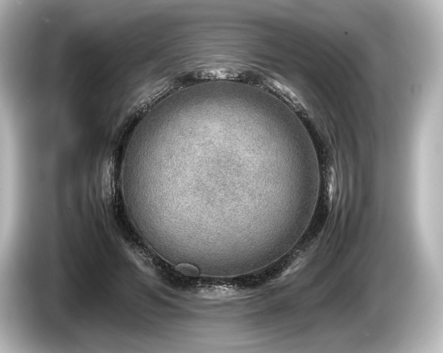 X0000085730594200703161007