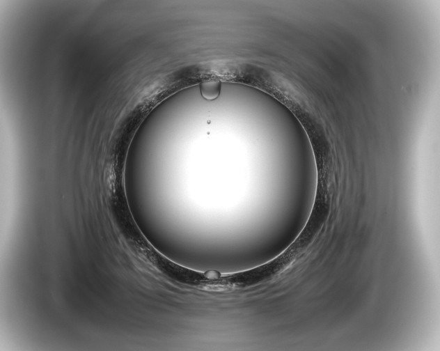 X0000085730595200703161007