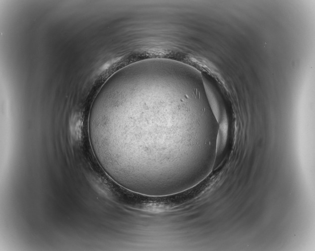 X0000085730596200703161007