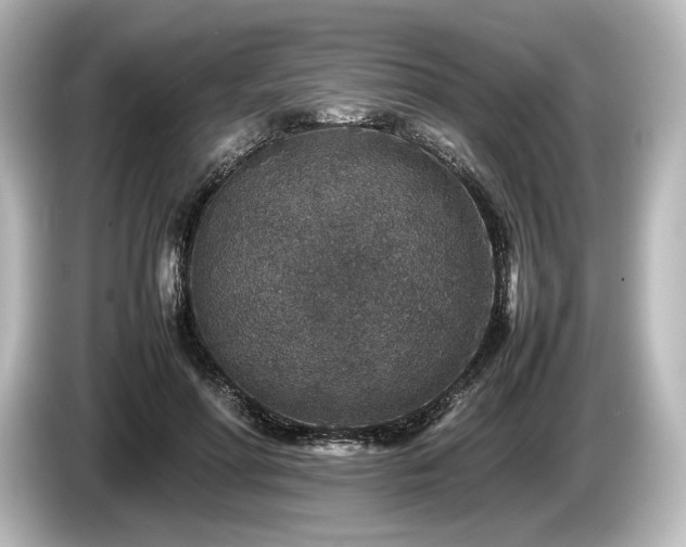 X0000085730598200703161007