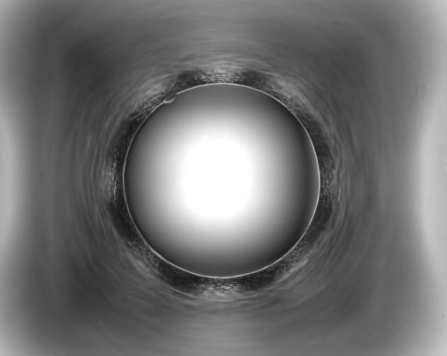 X0000085730599200703161007