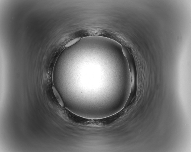 X0000085730601200703161007