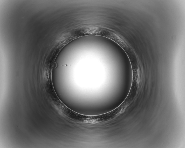 X0000085730602200703161007