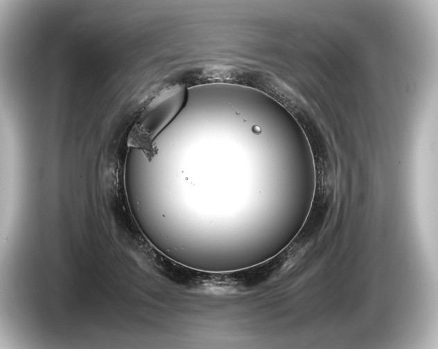 X0000085730603200703161007