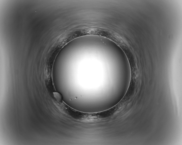 X0000085730607200703161007