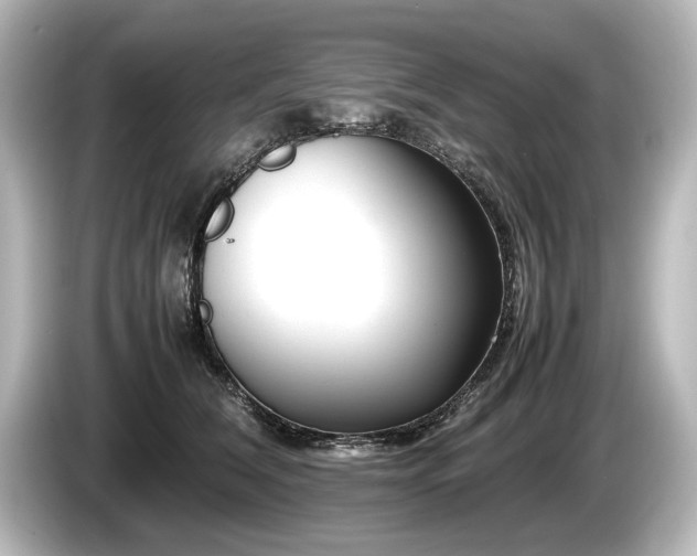 X0000085730612200703161007