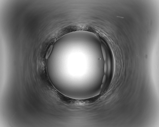 X0000085730613200703161007