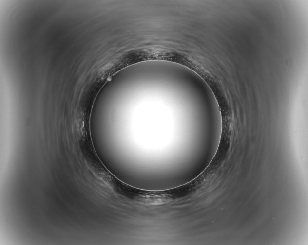 X0000085730615200703161007