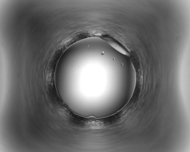 X0000085730619200703161007