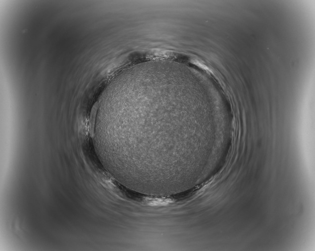 X0000085730621200703161007