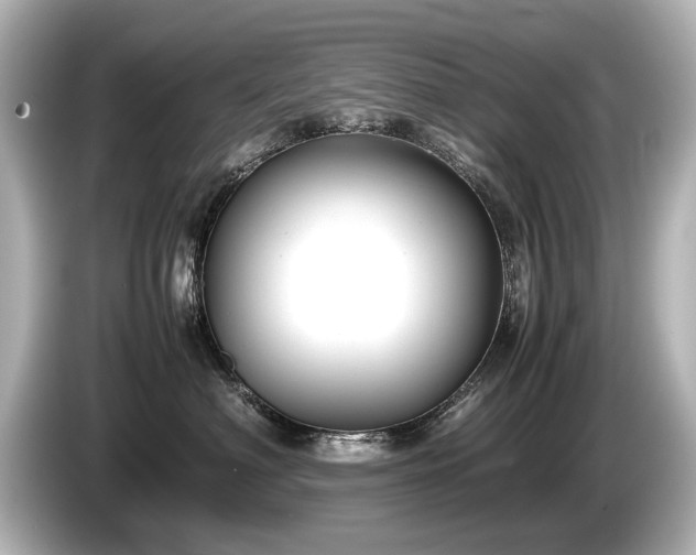 X0000085730622200703161007