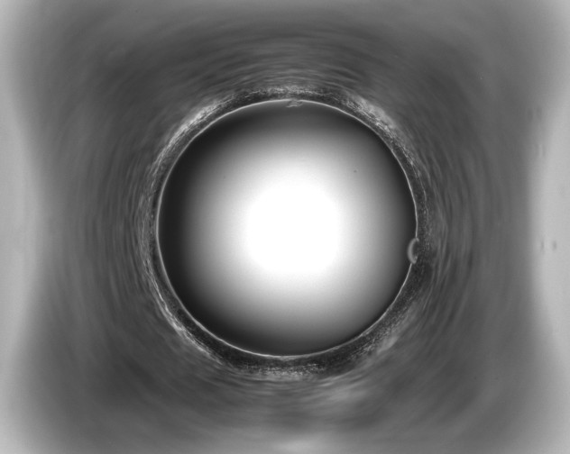 X0000085730625200703161006