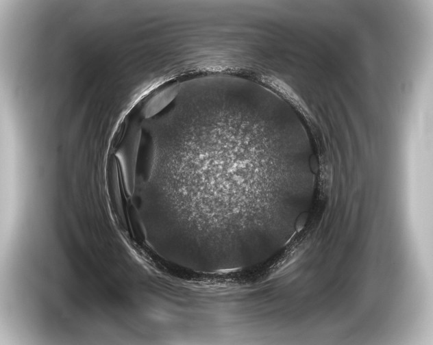 X0000085730626200703161006