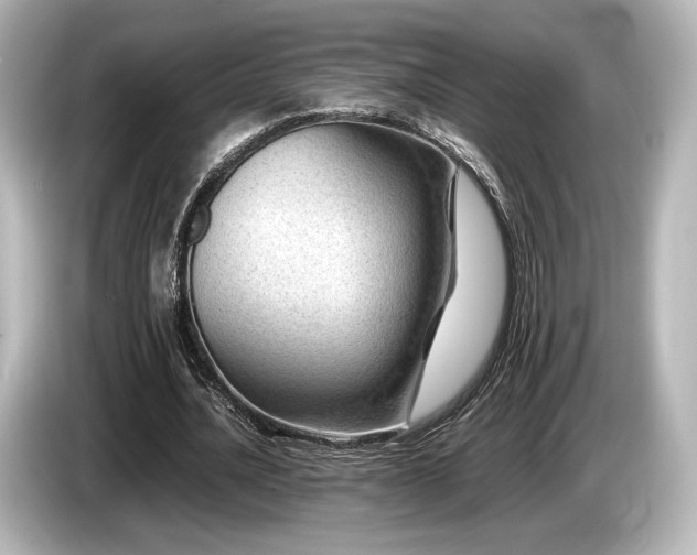 X0000085730628200703161006