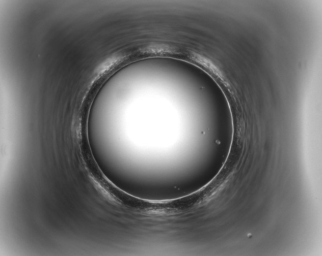 X0000085730629200703161006