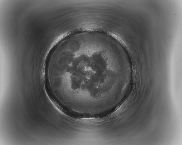 X0000085730630200703161006