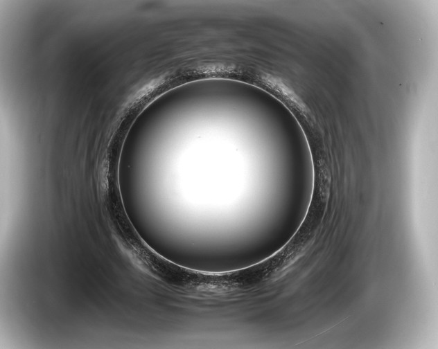 X0000085730631200703161006