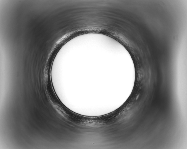 X0000085730632200703161006