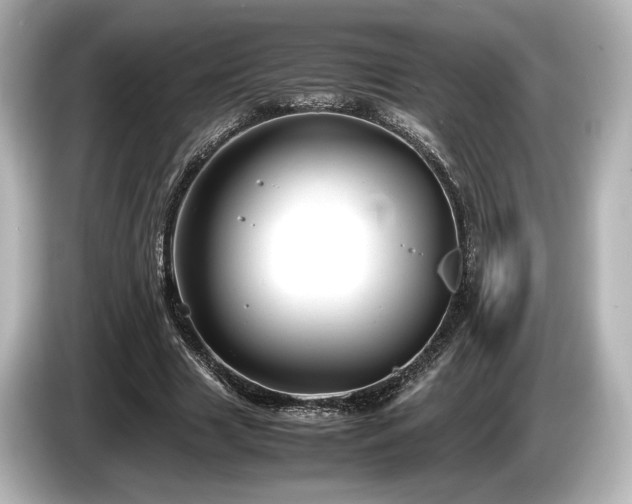 X0000085730633200703161006