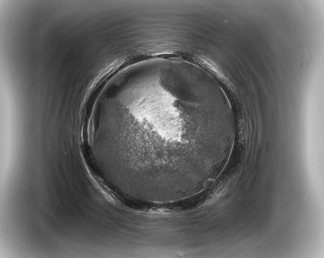 X0000085730634200703161006