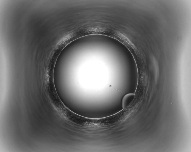 X0000085730635200703161006