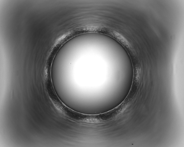 X0000085730636200703161006